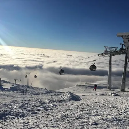 Bacova Skala Деревянный коттедж