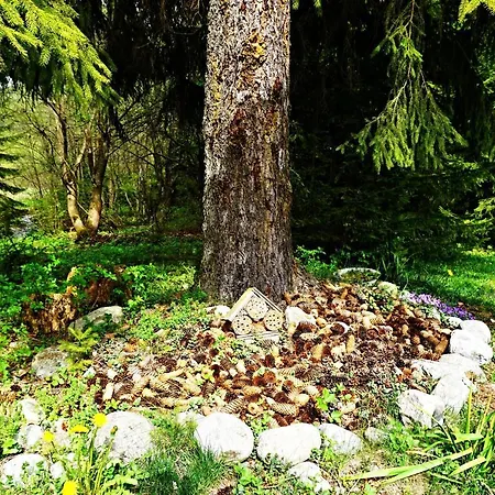 Bacova Skala Liptovský Ján