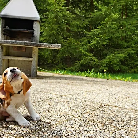 Bacova Skala * Liptovský Ján