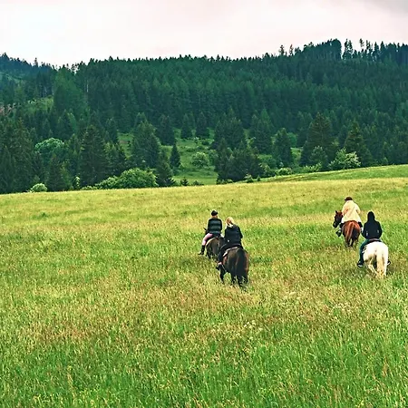 אכסניה Bacova Skala *