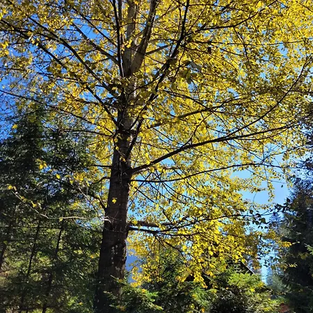 Bacova Skala אכסניה *
