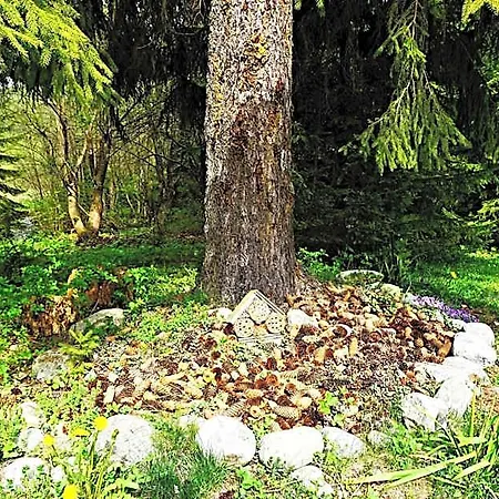 Bacova Skala *