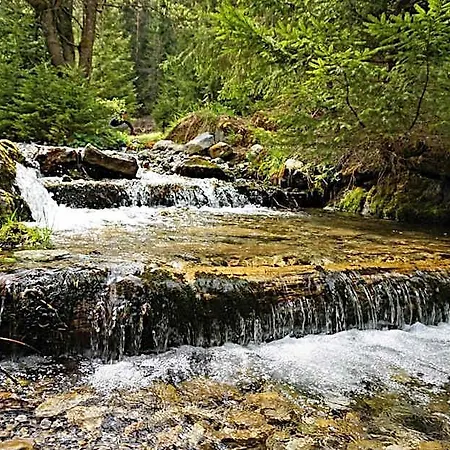 Bacova Skala *